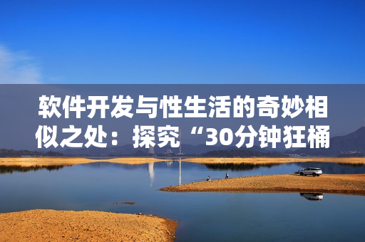 软件开发与性生活的奇妙相似之处：探究“30分钟狂桶”策略