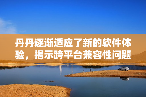 丹丹逐渐适应了新的软件体验，揭示跨平台兼容性问题