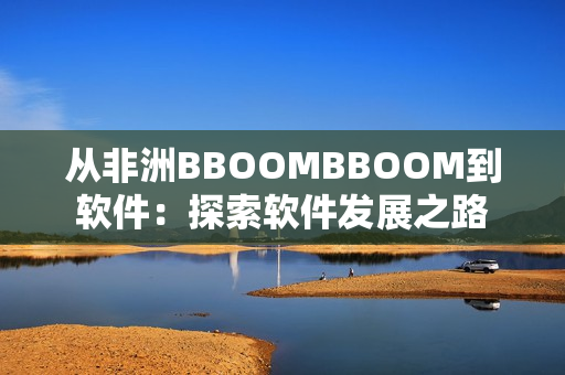 从非洲BBOOMBBOOM到软件：探索软件发展之路