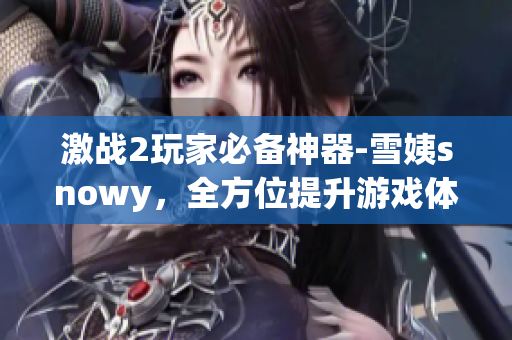 激战2玩家必备神器-雪姨snowy，全方位提升游戏体验的软件！