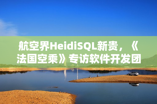 航空界HeidiSQL新贵，《法国空乘》专访软件开发团队