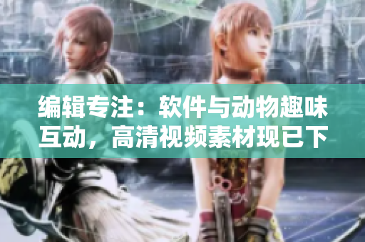 编辑专注：软件与动物趣味互动，高清视频素材现已下载！