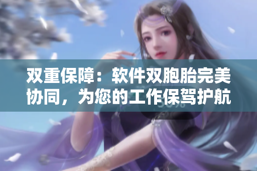 双重保障：软件双胞胎完美协同，为您的工作保驾护航！
