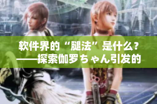 软件界的“腿法”是什么？——探索伽罗ちゃん引发的灵感