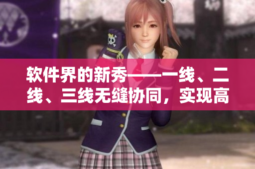 软件界的新秀——一线、二线、三线无缝协同，实现高效软件开发