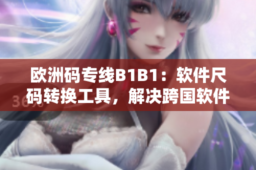 欧洲码专线B1B1：软件尺码转换工具，解决跨国软件开发人员尺码困扰