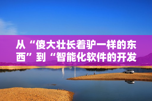 从“傻大壮长着驴一样的东西”到“智能化软件的开发需求”