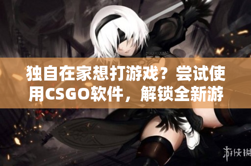 独自在家想打游戏？尝试使用CSGO软件，解锁全新游戏体验！