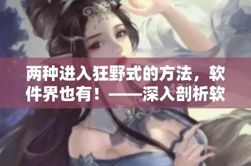 两种进入狂野式的方法，软件界也有！——深入剖析软件狂野式的两种途径