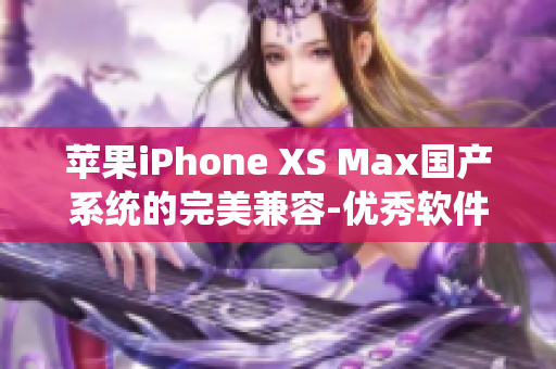 苹果iPhone XS Max国产系统的完美兼容-优秀软件推荐