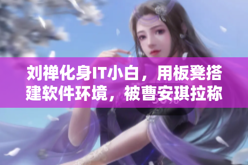 刘禅化身IT小白，用板凳搭建软件环境，被曹安琪拉称赞的故事