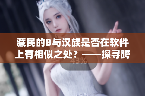 藏民的B与汉族是否在软件上有相似之处？——探寻跨文化软件使用行为差异