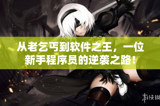 从老乞丐到软件之王，一位新手程序员的逆袭之路！