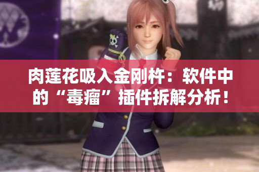 肉莲花吸入金刚杵：软件中的“毒瘤”插件拆解分析！