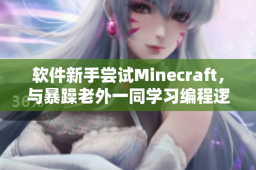 软件新手尝试Minecraft，与暴躁老外一同学习编程逻辑