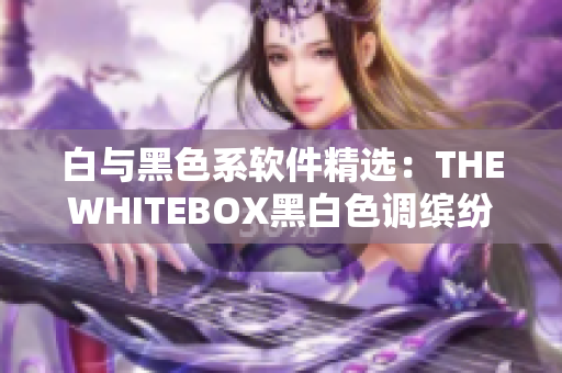 白与黑色系软件精选：THEWHITEBOX黑白色调缤纷呈现