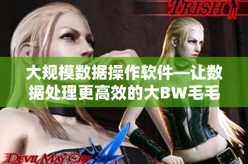 大规模数据操作软件—让数据处理更高效的大BW毛毛多