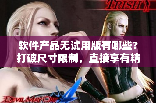 软件产品无试用版有哪些？打破尺寸限制，直接享有精品服务！
