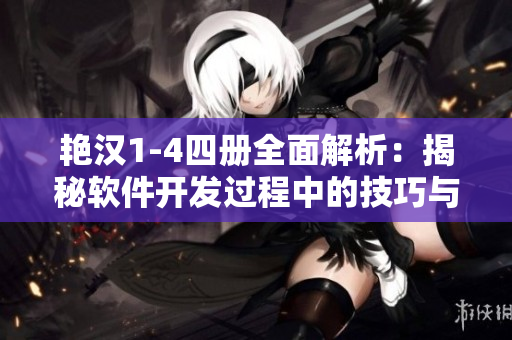 艳汉1-4四册全面解析：揭秘软件开发过程中的技巧与热点问题