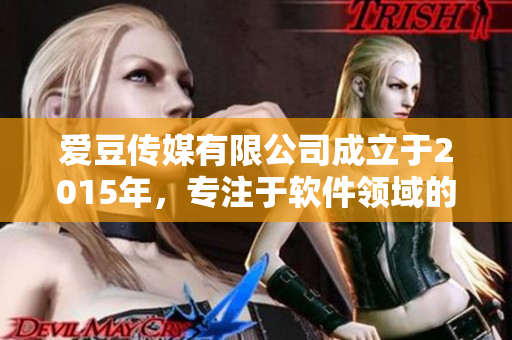 爱豆传媒有限公司成立于2015年，专注于软件领域的报道与分析
