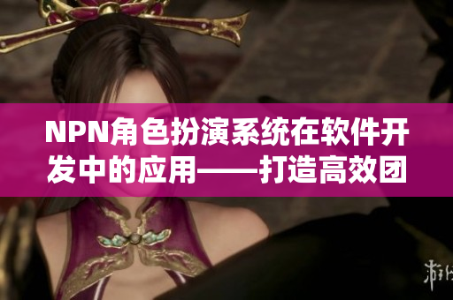 NPN角色扮演系统在软件开发中的应用——打造高效团队的秘密武器