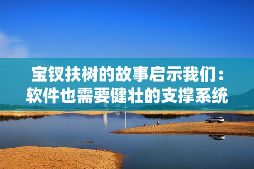 宝钗扶树的故事启示我们：软件也需要健壮的支撑系统