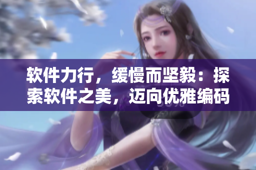 软件力行，缓慢而坚毅：探索软件之美，迈向优雅编码