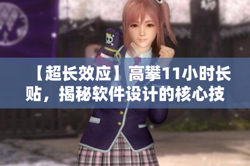 【超长效应】高攀11小时长贴，揭秘软件设计的核心技术！