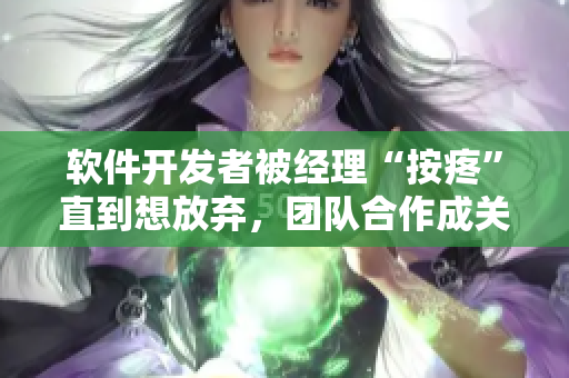 软件开发者被经理“按疼”直到想放弃，团队合作成关键