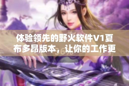 体验领先的野火软件V1夏布多昂版本，让你的工作更高效