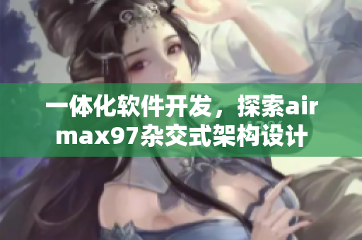 一体化软件开发，探索airmax97杂交式架构设计