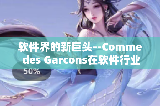 软件界的新巨头--Comme des Garcons在软件行业中的崛起