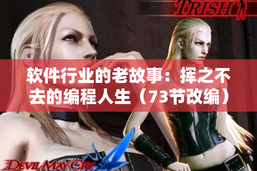 软件行业的老故事：挥之不去的编程人生（73节改编）