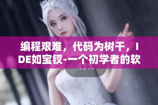 编程艰难，代码为树干，IDE如宝钗-一个初学者的软件启示