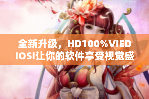 全新升级，HD100%VIEDIOSI让你的软件享受视觉盛宴！