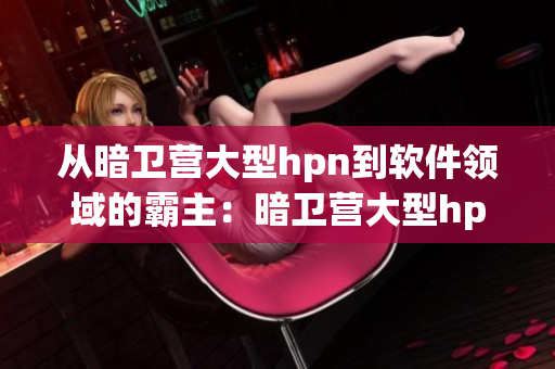 从暗卫营大型hpn到软件领域的霸主：暗卫营大型hpn
