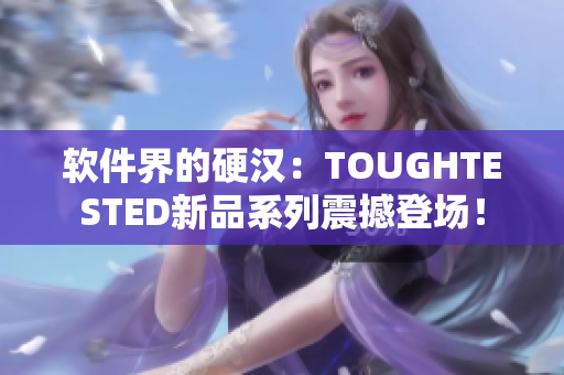 软件界的硬汉：TOUGHTESTED新品系列震撼登场！