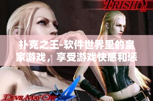 扑克之王-软件世界里的皇家游戏，享受游戏快感和惩罚乐趣