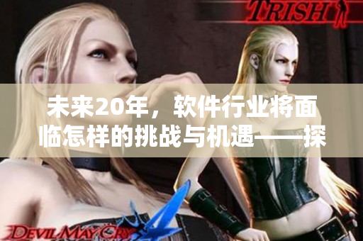 未来20年，软件行业将面临怎样的挑战与机遇——探究中国软件发展前景