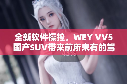 全新软件操控，WEY VV5国产SUV带来前所未有的驾驶体验