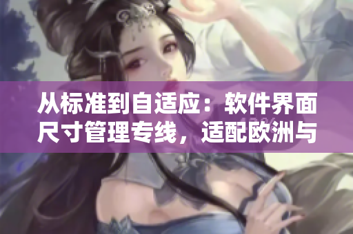 从标准到自适应：软件界面尺寸管理专线，适配欧洲与日本市场