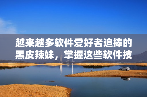越来越多软件爱好者追捧的黑皮辣妹，掌握这些软件技能更得心应手