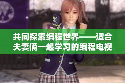 共同探索编程世界——适合夫妻俩一起学习的编程电视剧推荐