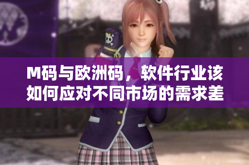 M码与欧洲码，软件行业该如何应对不同市场的需求差异？