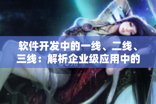 软件开发中的一线、二线、三线：解析企业级应用中的开发差异与挑战