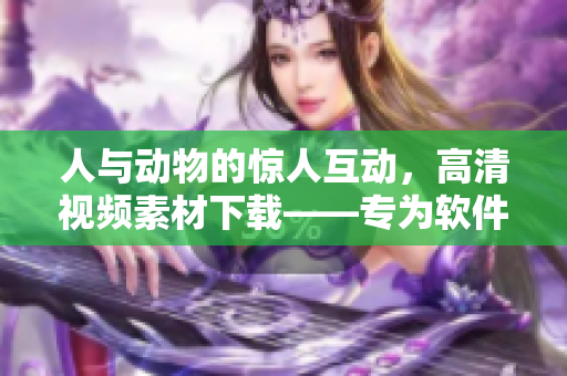 人与动物的惊人互动，高清视频素材下载——专为软件开发者设计的库存。