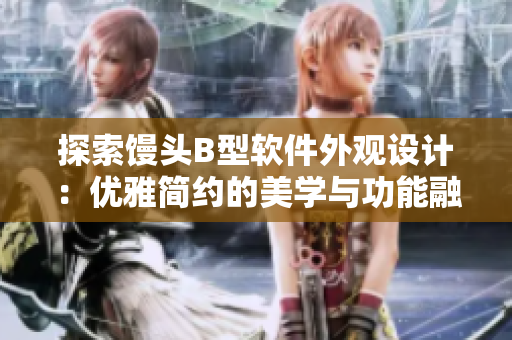 探索馒头B型软件外观设计：优雅简约的美学与功能融合