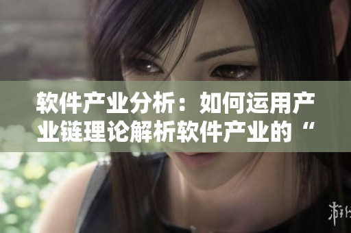 软件产业分析：如何运用产业链理论解析软件产业的“一二三产”？