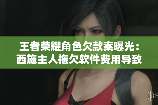 王者荣耀角色欠款案曝光：西施主人拖欠软件费用导致无法偿还