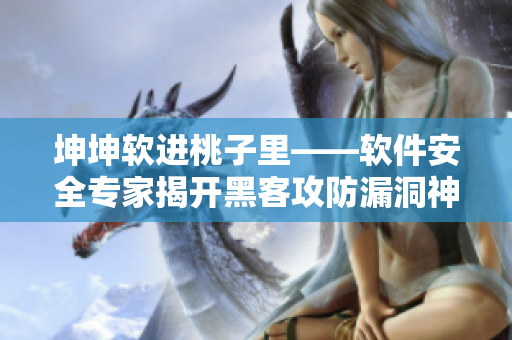坤坤软进桃子里——软件安全专家揭开黑客攻防漏洞神秘面纱